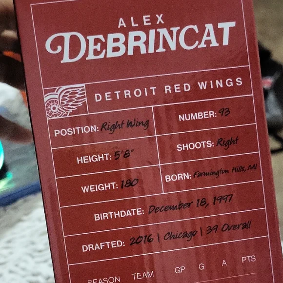 NHL DETROIT RED WINGS Alex Debrincat SGA Bobblehead 2024 PROMO HOCKEY-NEW - Picture 4 of 4